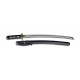 CAS Hanwei Tiger Wakizashi blade