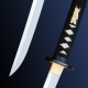 Hanwei Raptor Shobu Zukuri Katana detail