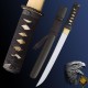 Raptor Bundle SH2423 Raptor Tanto dagger