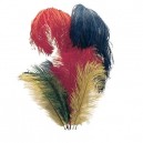 Helmet Feathers