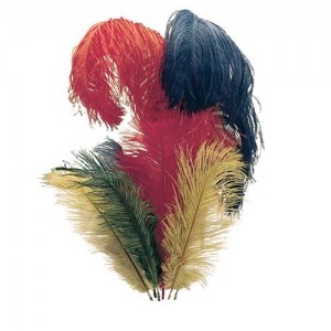 Helmet Feathers