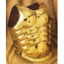 Golden Gladiator Muscle Armor