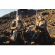Sword of Isildur-Elendir and Isildur in the movie