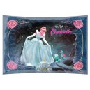 Cinderella Fantasy Print