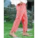 Pirate Striped Pants of Captain Clegg